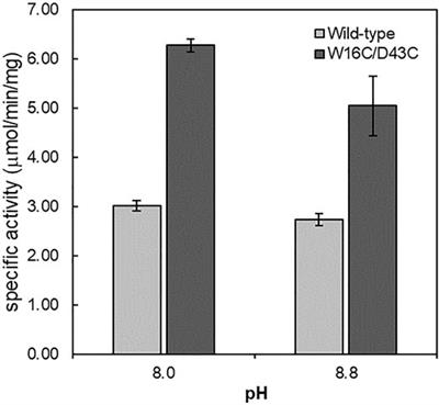 Improving the Stability and Activity of Arginine Decarboxylase at Alkaline pH for the Production of Agmatine